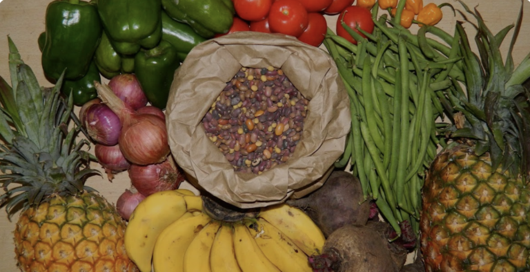 Food Insecurity
